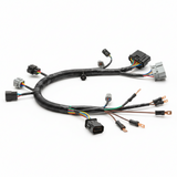 Custom Harness 6.7